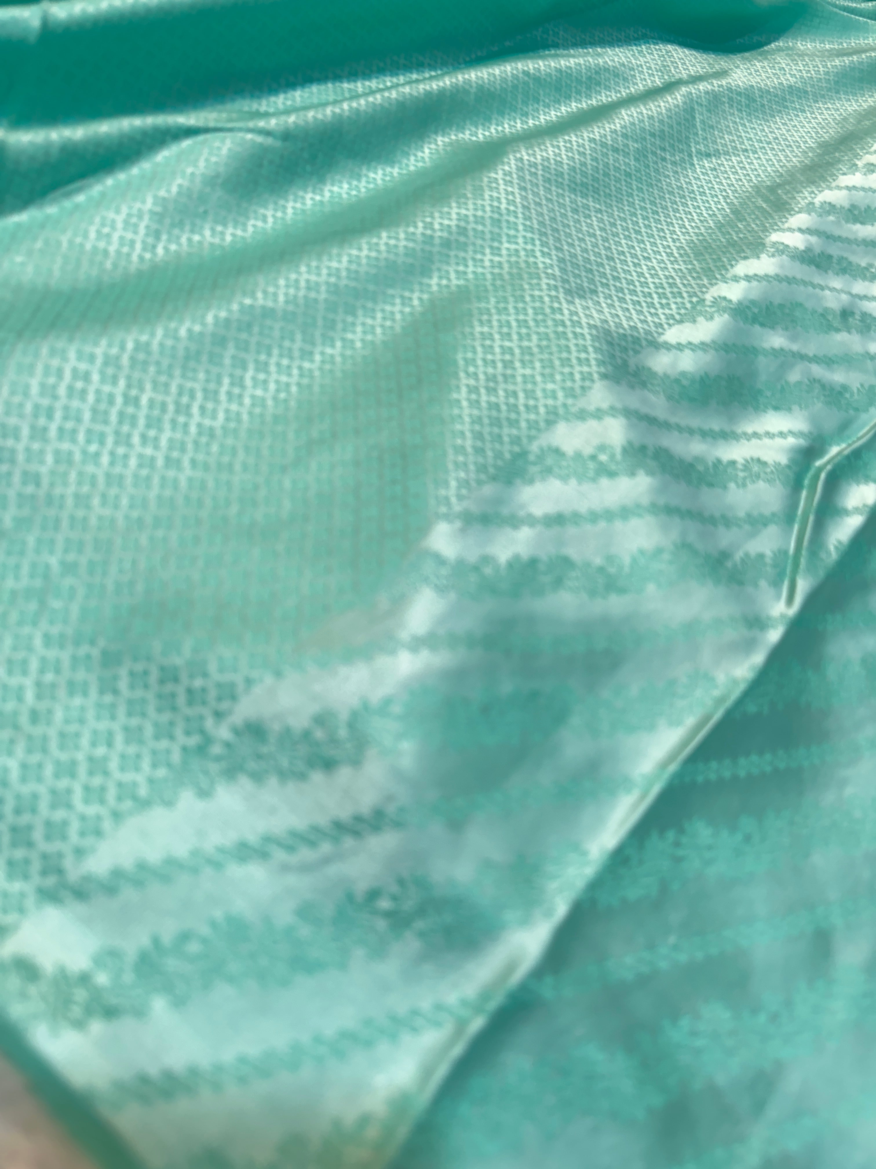 Mint Green Banarasi Silk Saree with Gold Zari Stripes & Heavy Zari Border