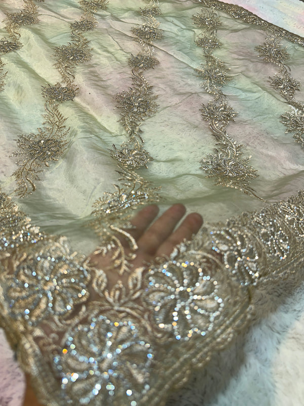 Pista green Organza Saree with Intricate Silver Embroidery