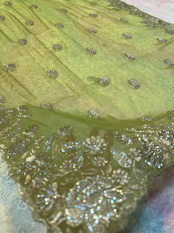 Pista Green Organza Saree with White Zari & Zarkhan Stone Floral Embroidery
